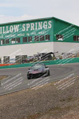 media/May-03-2025-Lucky Dog Racing (Sat) [[206de64b9d]]/Turn 4 B (1150am-130pm)/
